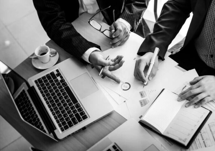 Business Strategy Consultant